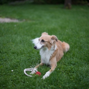 exp__DSC0008 exp__DSC0008