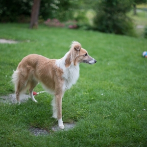 exp__DSC0015 exp__DSC0015