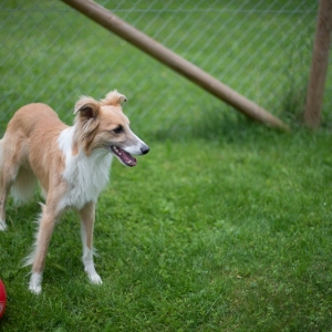 exp__DSC0035 exp__DSC0035