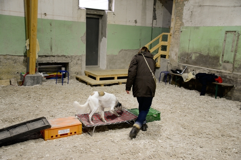 2014-12-05-15.19.19x800