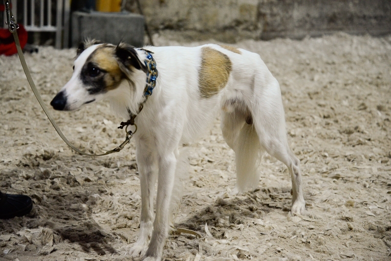 2014-12-05-15.23.03x800