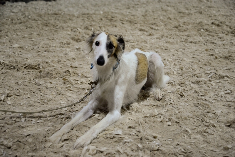 2014-12-05-15.24.14x800
