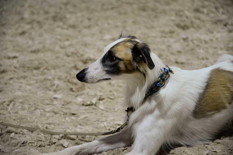 2014-12-05-15.24.37x800