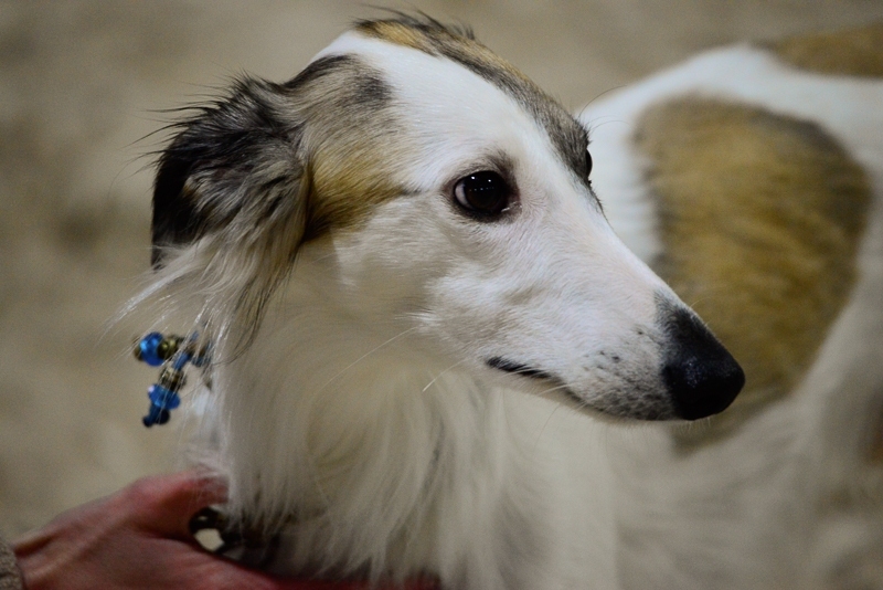 2014-12-05-15.28.21-2x800