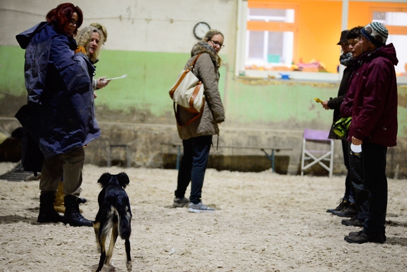 2014-12-05-15.52.52x800