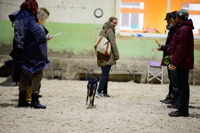 2014-12-05-15.52.53x800