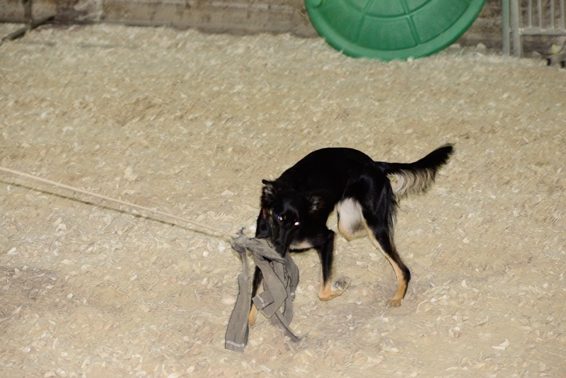 2014-12-05-15.54.26x800