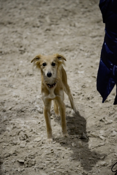 2014-12-05-16.37.59x800