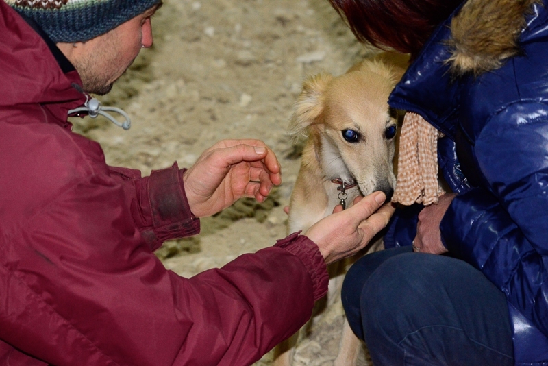 2014-12-05-16.38.30x800