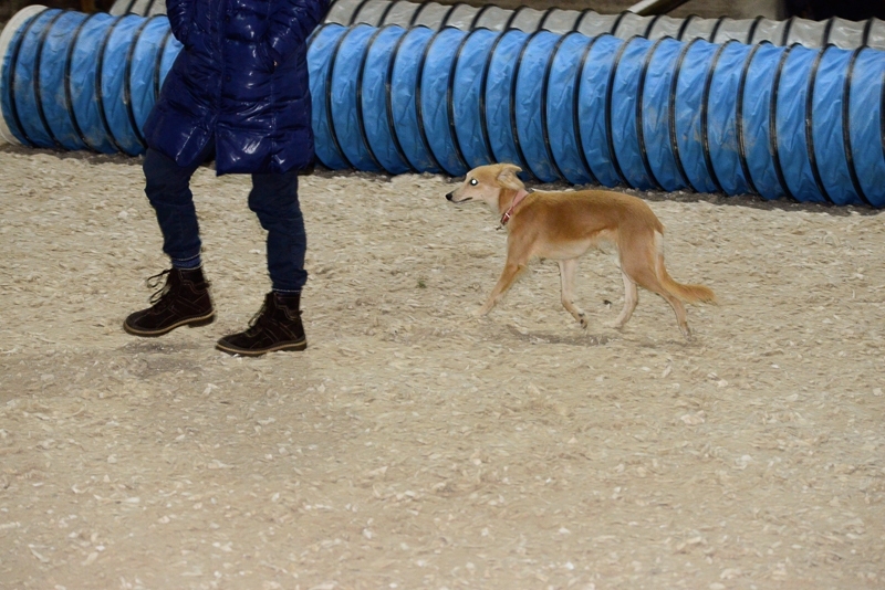 2014-12-05-16.40.30x800