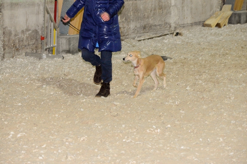 2014-12-05-16.45.25x800