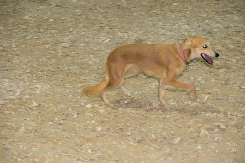 2014-12-05-16.45.34x800