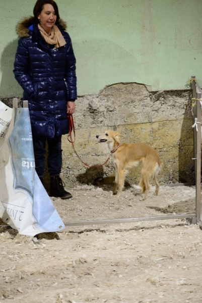 2014-12-05-16.49.06x800