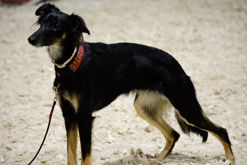 2014-12-05-18.04.10x800