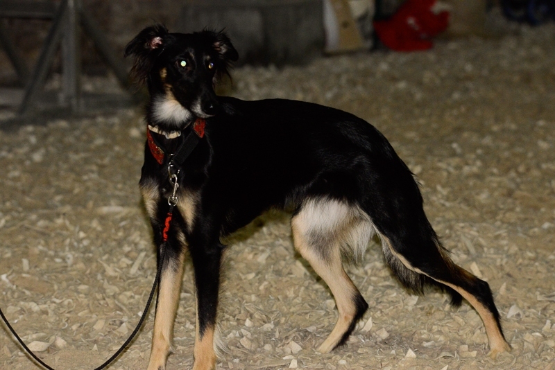 2014-12-05-18.04.42x800