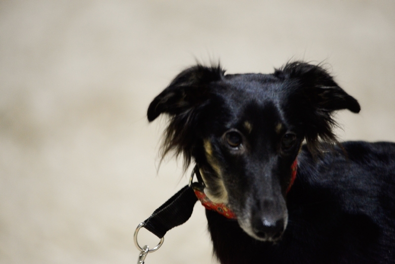 2014-12-05-18.05.30x800