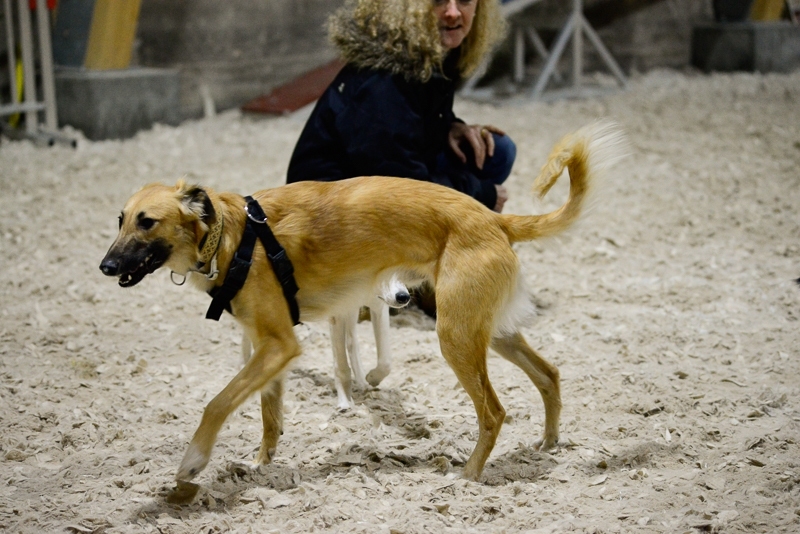 2014-12-05-18.06.37x800