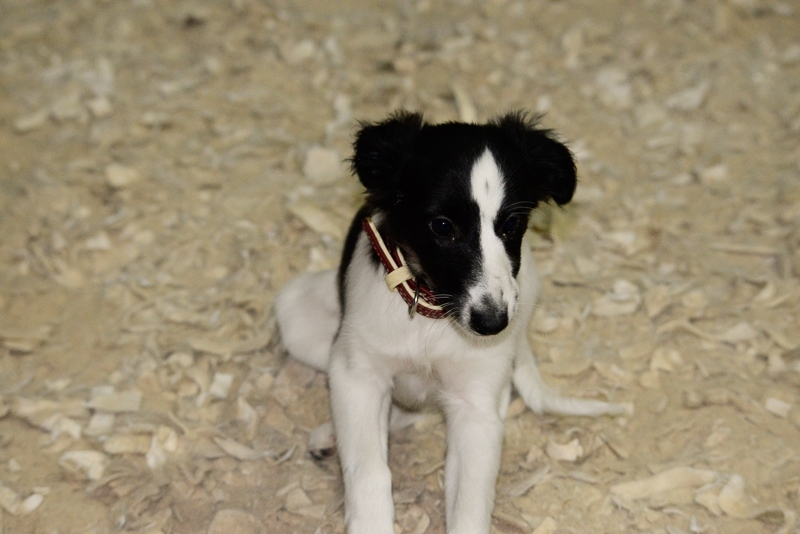 2014-12-05-18.12.06x800