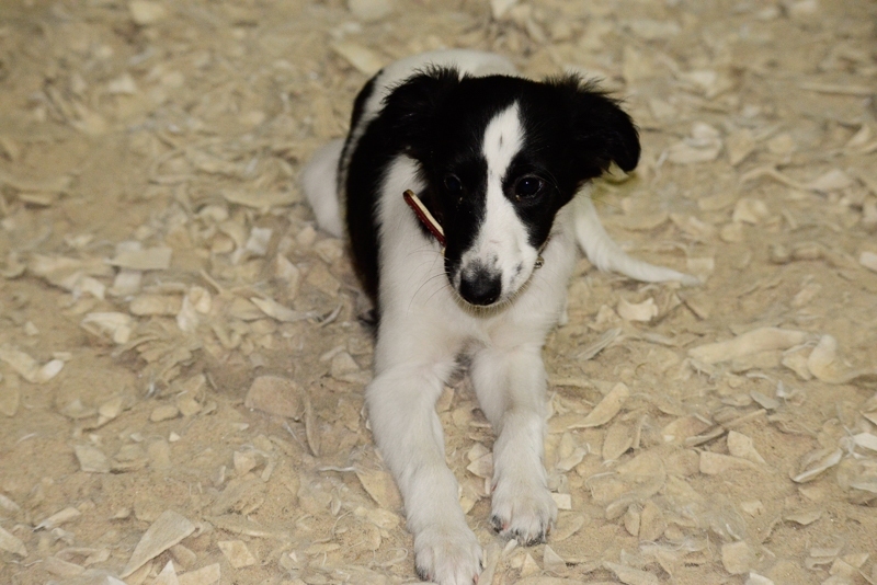 2014-12-05-18.12.09x800