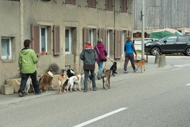 img20170319-150505-50