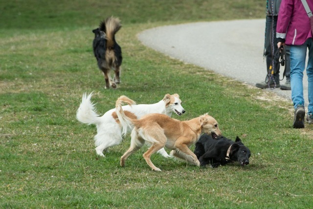 img20170319-150948-30