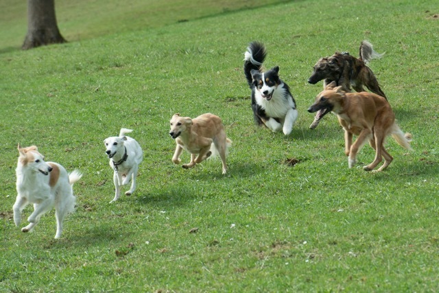 img20170319-151724-30