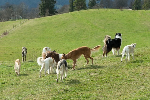 img20170319-152146-80