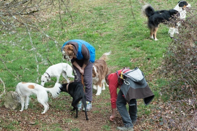 img20170319-155812-30