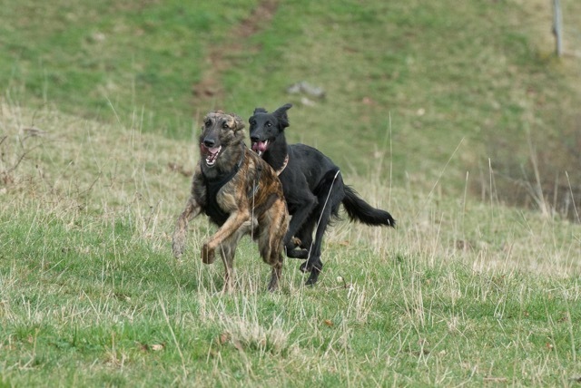 img20170319-160405-40