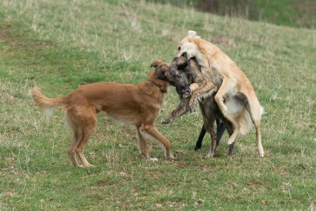 img20170319-160407-70