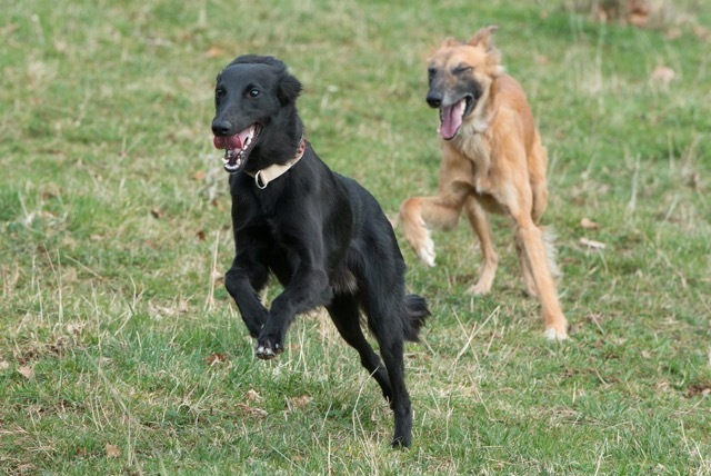 img20170319-160413-50