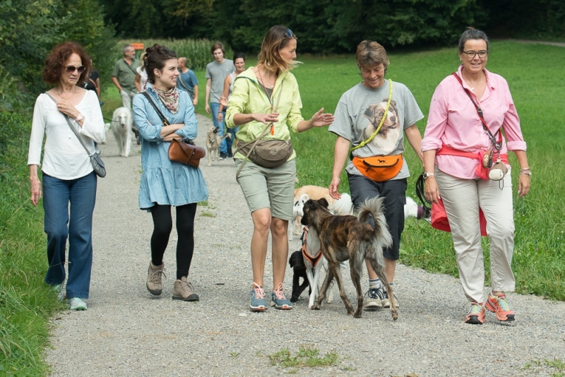 img20170820-114324_x1000