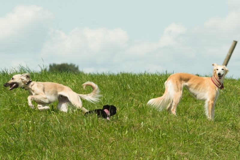 img20170820-130205_x1000