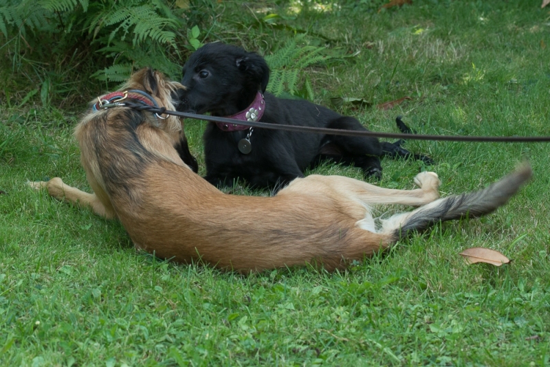 img20170820-155706_x1000