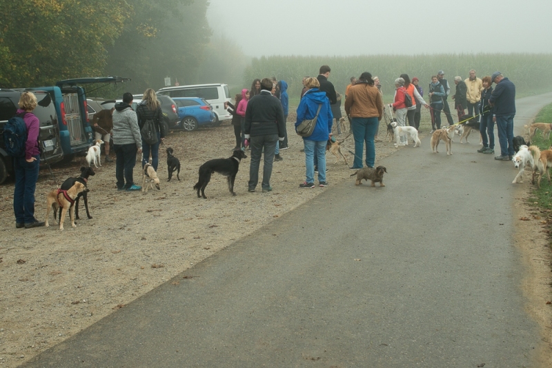 img20171015-102538_x1000