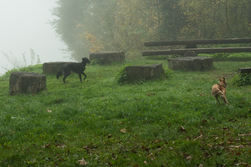 img20171015-103815_x1000