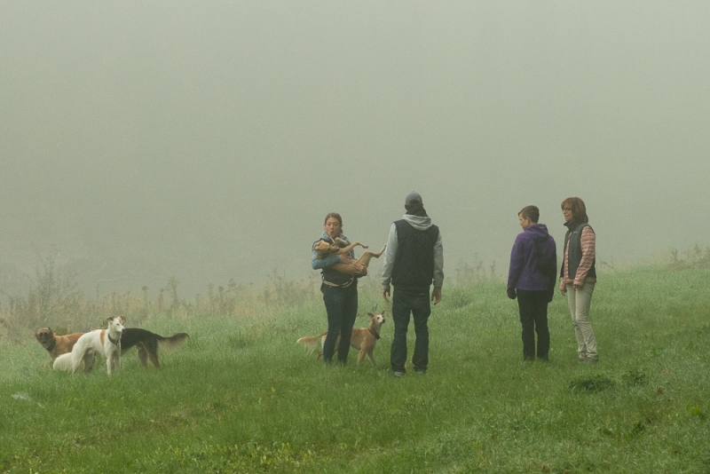 img20171015-105337_x1000