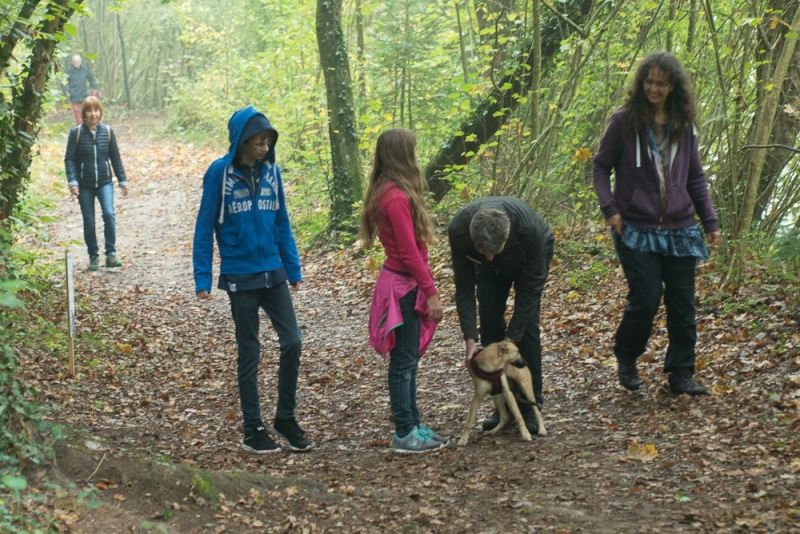 img20171015-113339_x1000