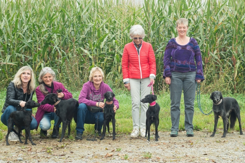 img20171015-121629_x1000