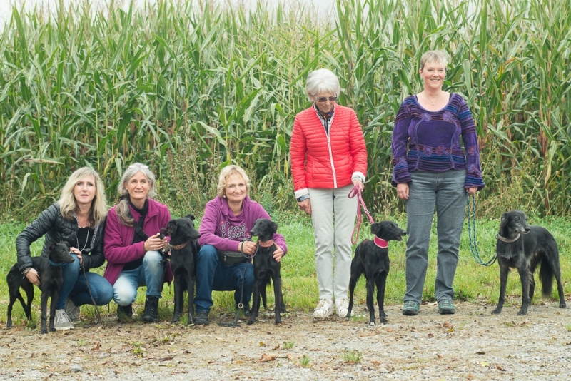 img20171015-121634_x1000