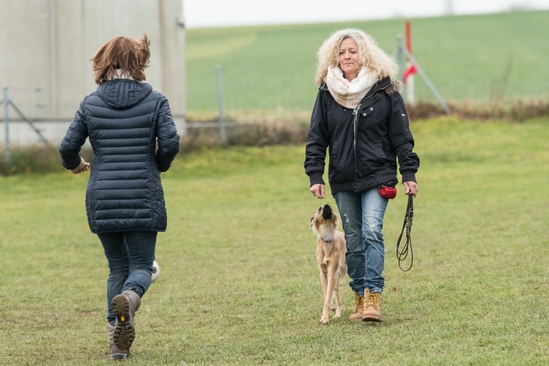 img20180106-150747_x1000