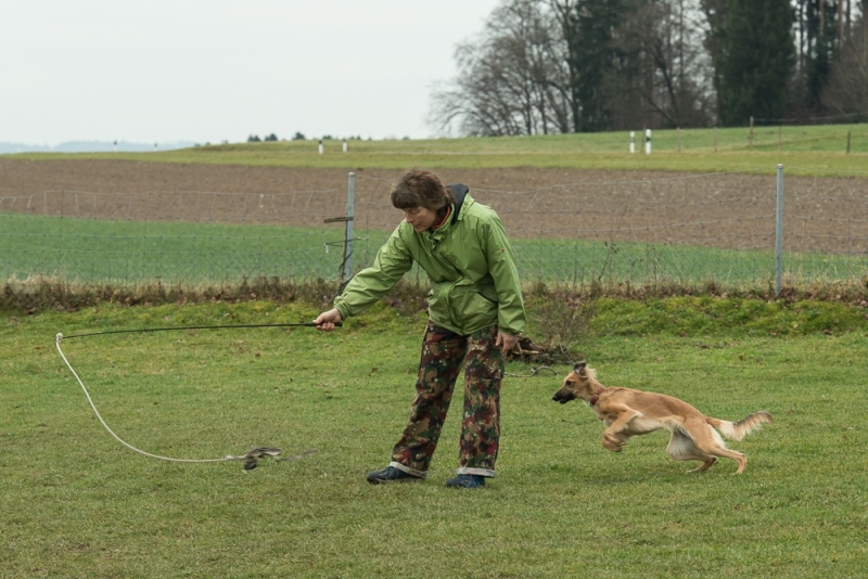 img20180106-151221_x1000