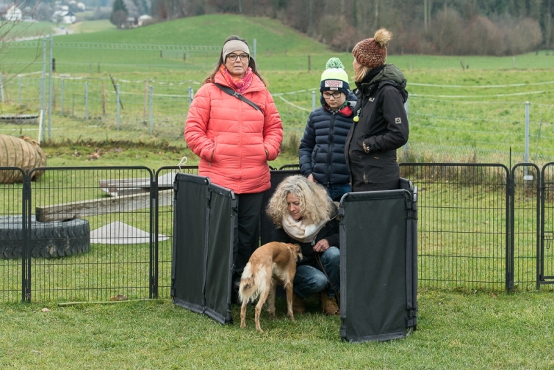 img20180106-151645_x1000