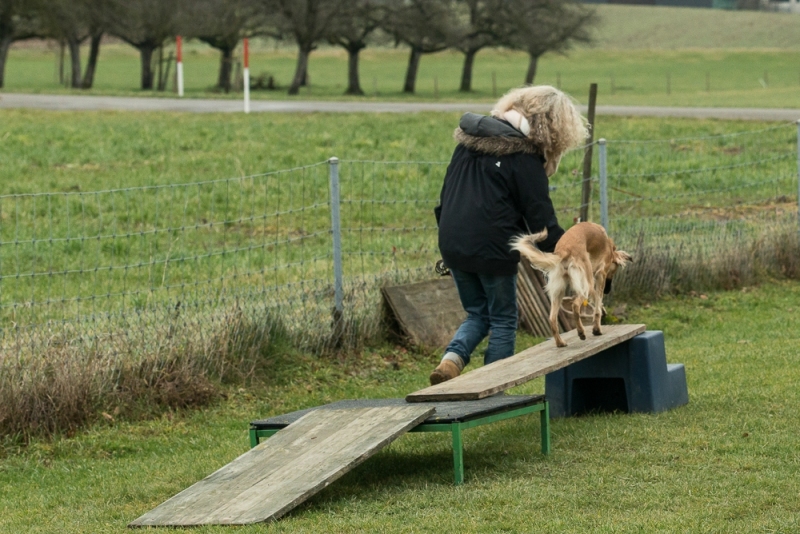 img20180106-152426_x1000