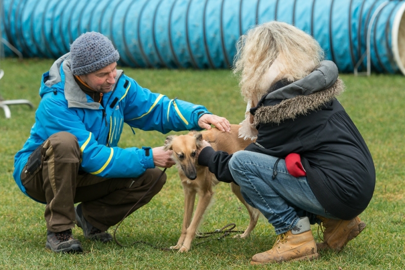 img20180106-152822_x1000