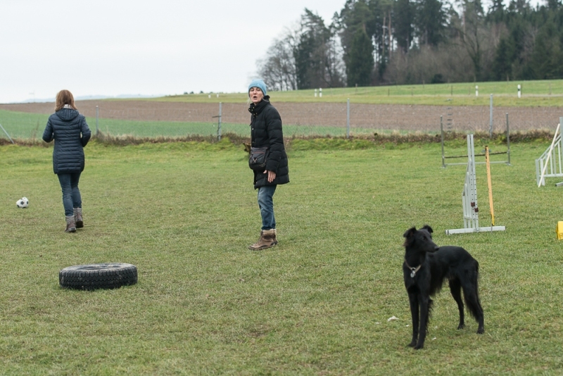 img20180106-155314_x1000