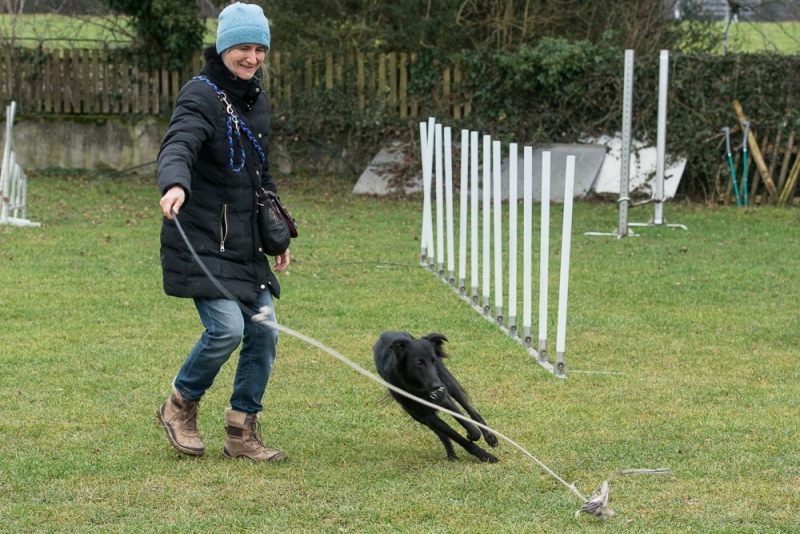 img20180106-155730_x1000