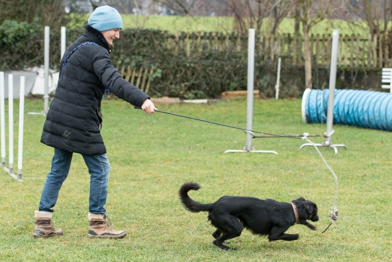 img20180106-155734_x1000