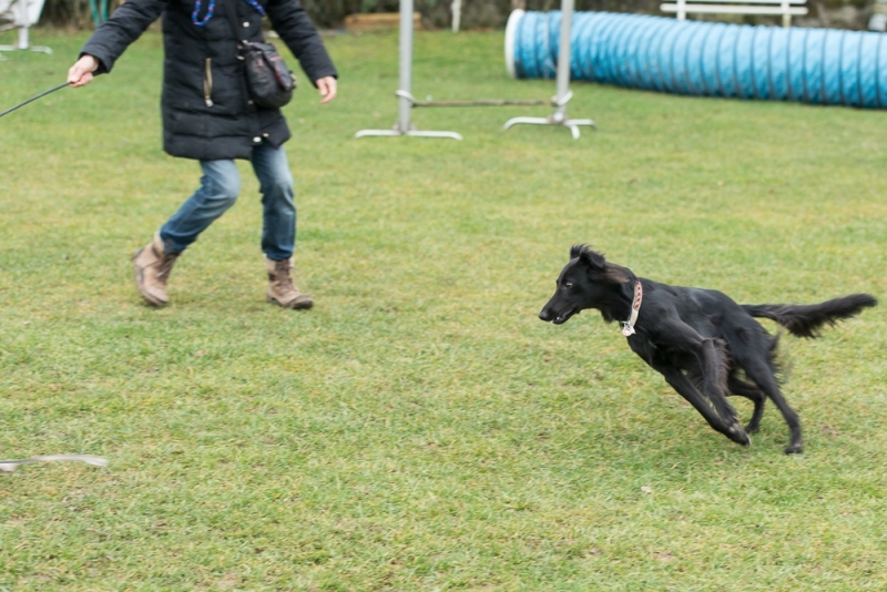 img20180106-155735_x1000