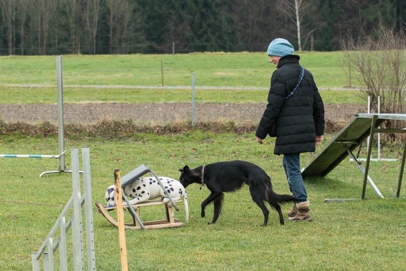 img20180106-155853_x1000